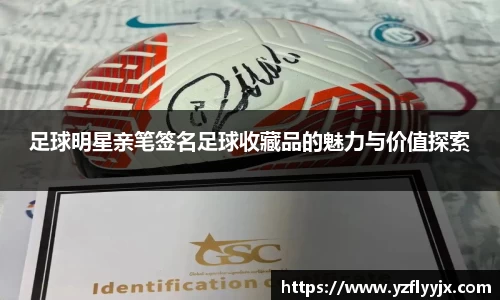 足球明星亲笔签名足球收藏品的魅力与价值探索